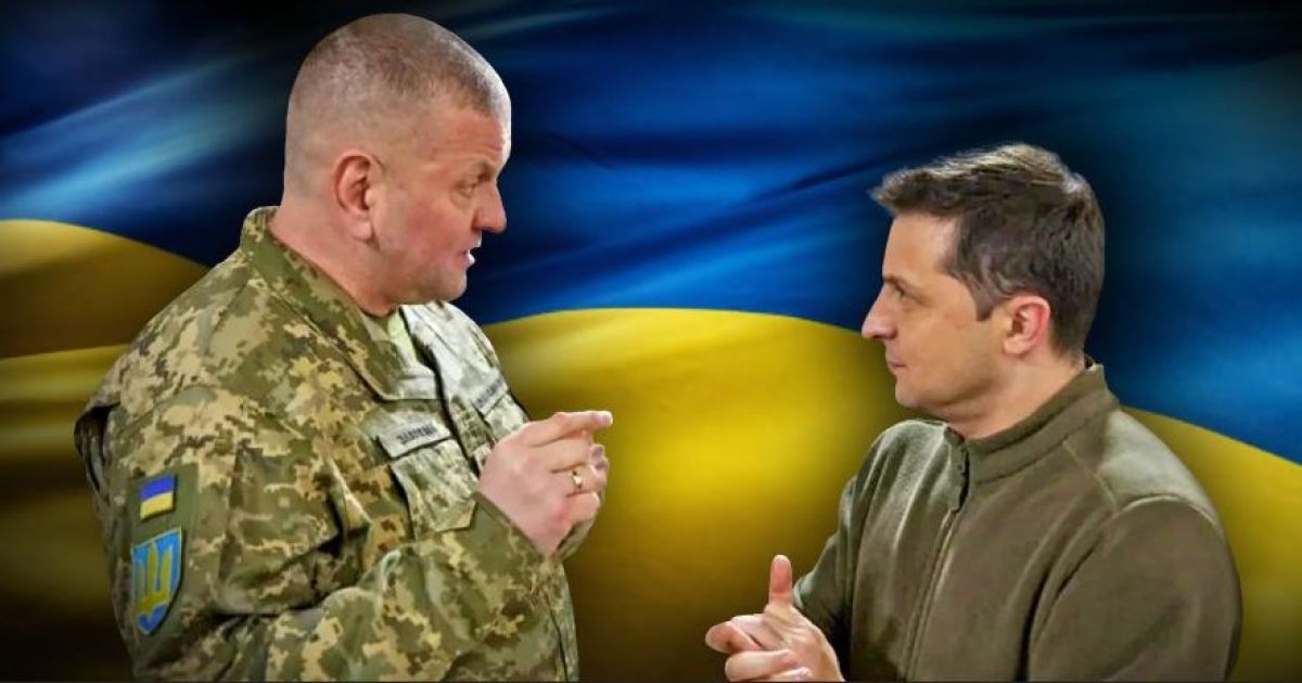 Зеленский, Залужный